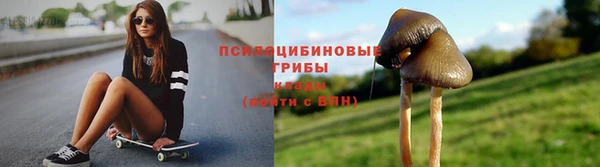 apvp Алексеевка