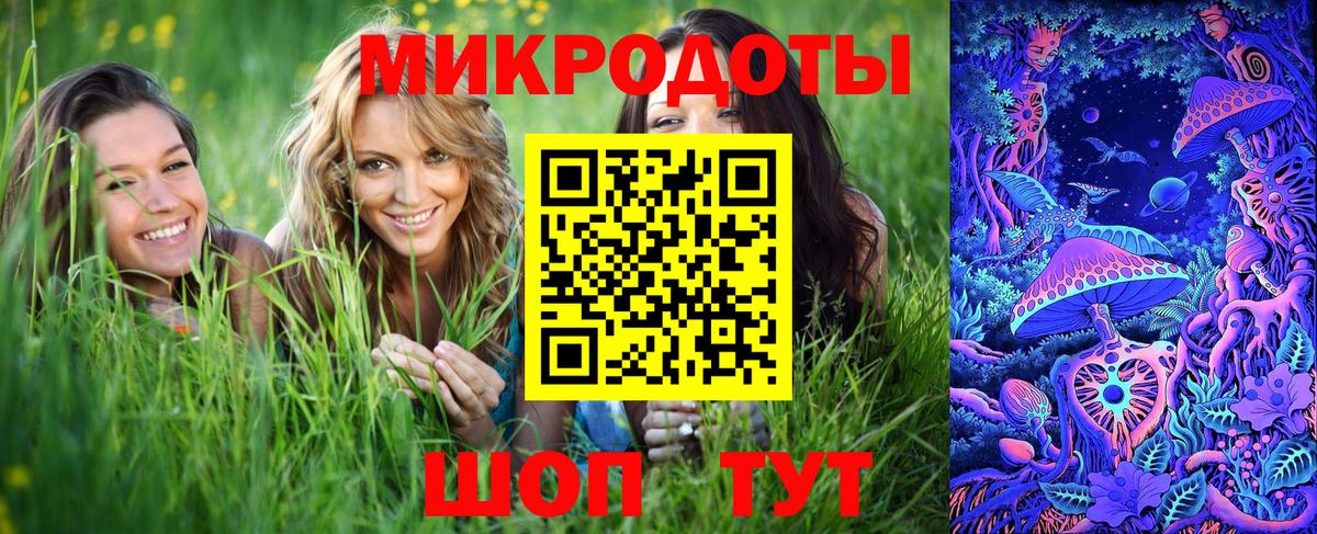 Галлюциногенные грибы Psilocybe  Вход с VPN  Киров 