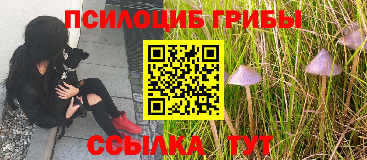 Гашиш  Каннабис  Киров  Вход с VPN  Меф МЯУ МЯУ   Кодеин 